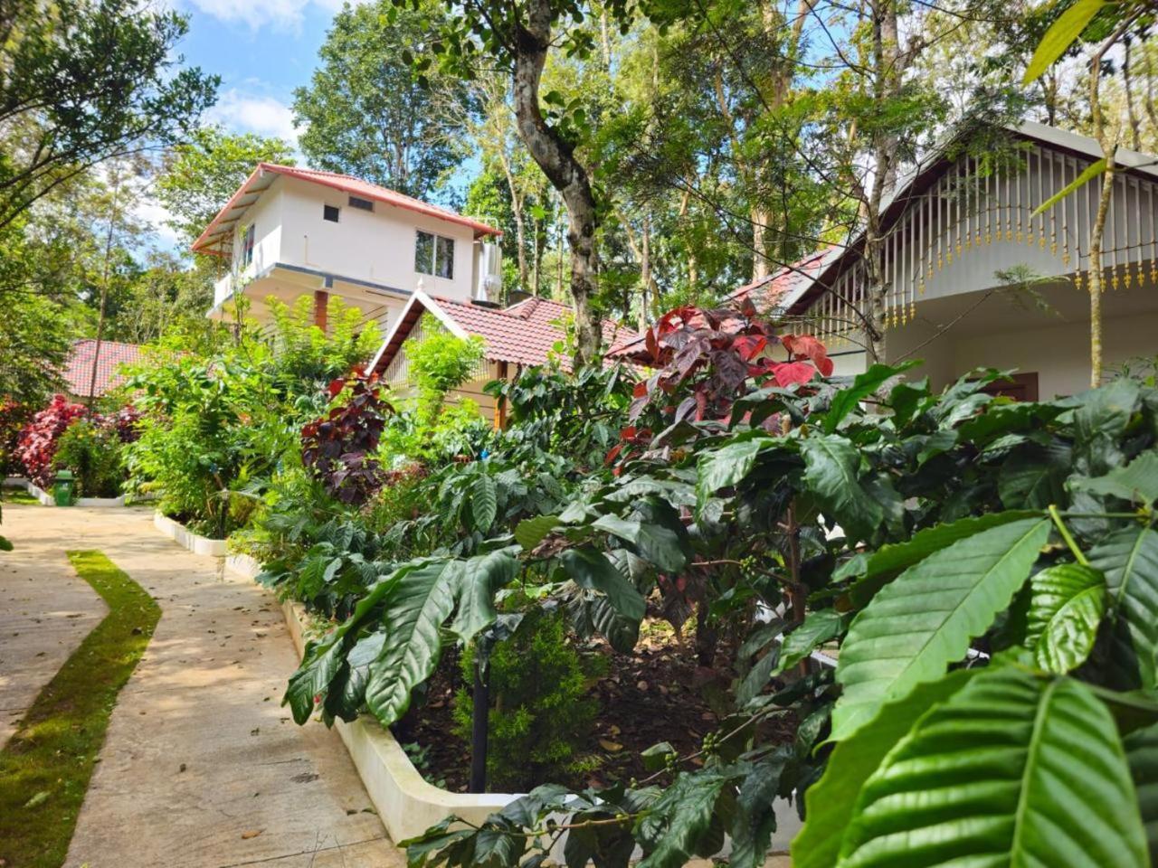 Coorg Orange Blossom Resort And Spa Suntikoppa Buitenkant foto